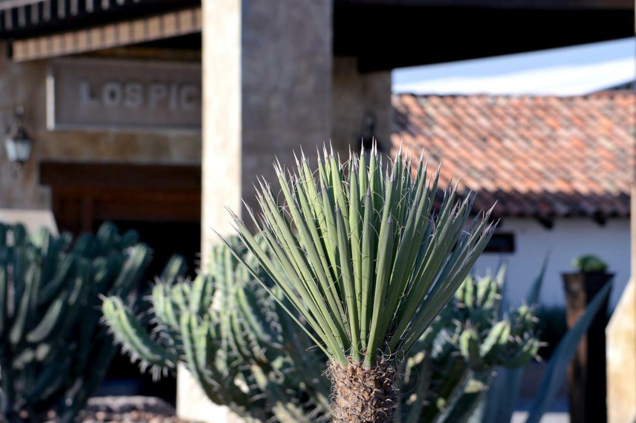 Hacienda Los Picachos Alcocer Exterior photo